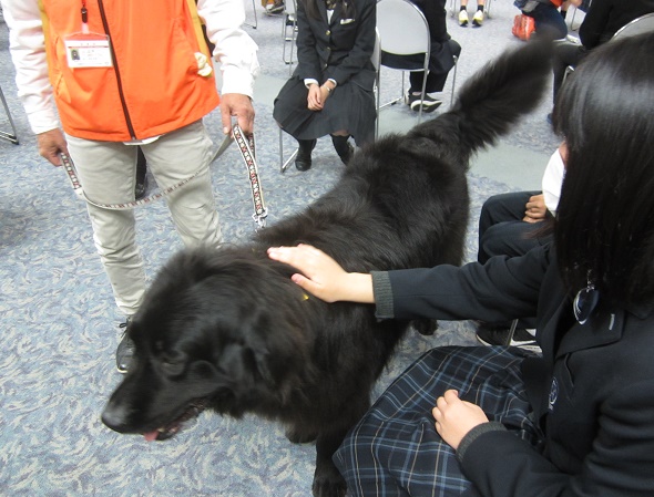 帯広４.JPG