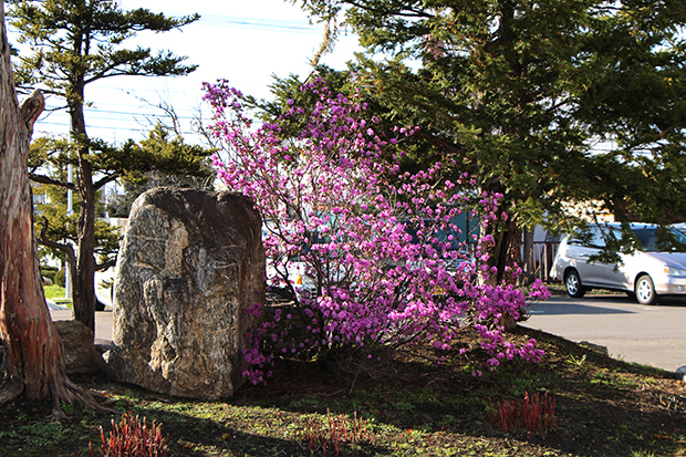 20130516_02.jpg